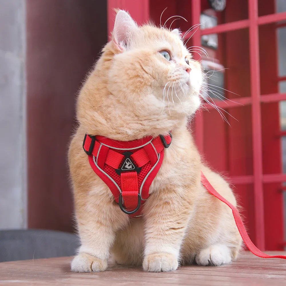 Escape-Proof Reflective Cat Harness