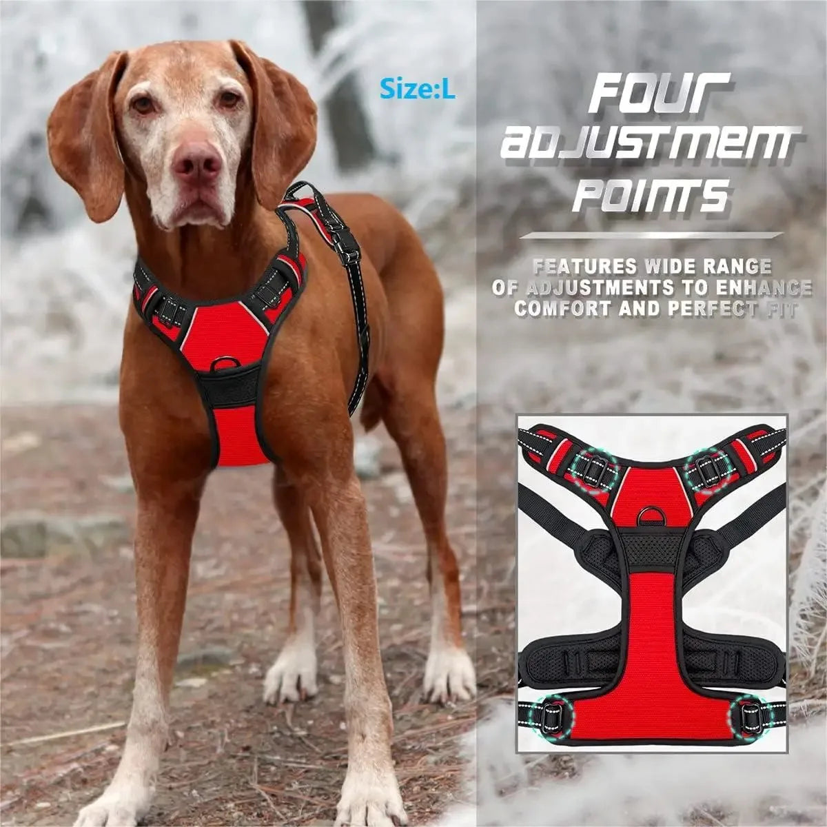 Leather Dog Harness Collar Set