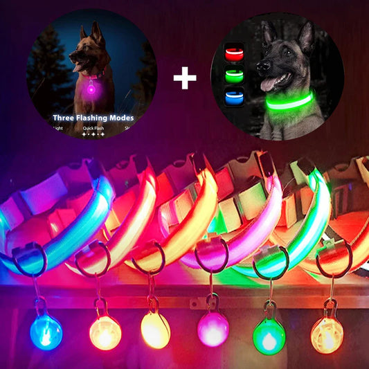COOYOMOO USB Charging Glowing Dog Collar