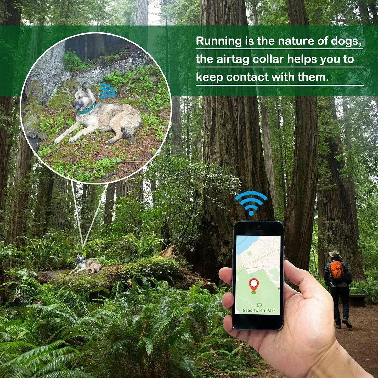 Dog Collar Waterproof Reflective Airtag