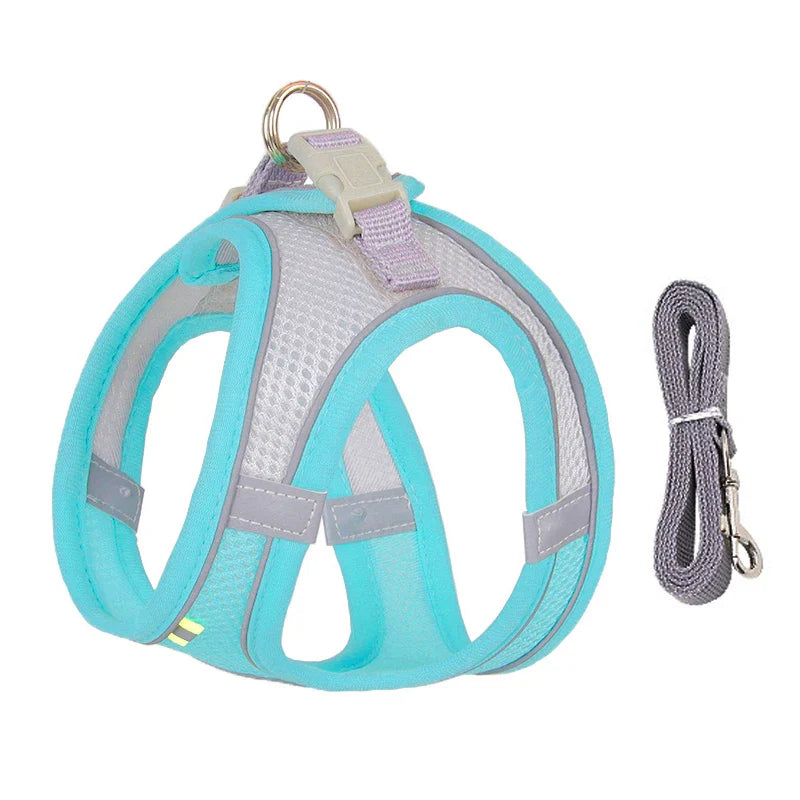 CDDMPET Adjustable Dog Harness Leash Set