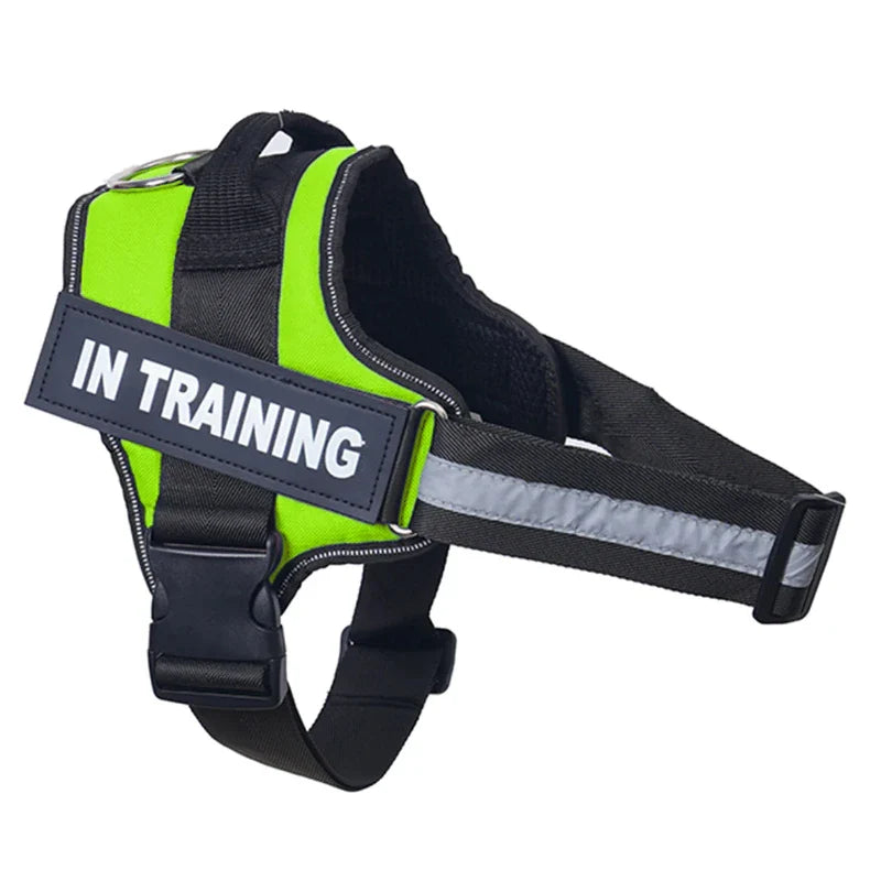 Personalized Reflective No-Pull Harness          Ask ChatGPT