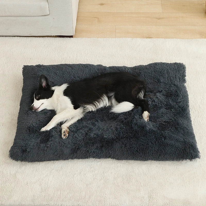 Soft Plush Dog Bed House
