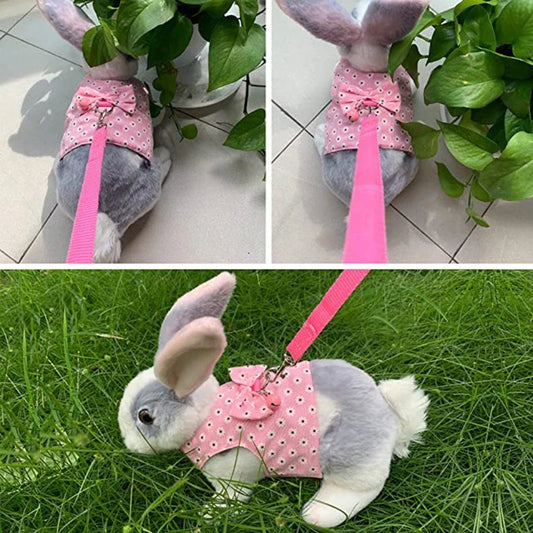 Bunny Harness and Leash Set