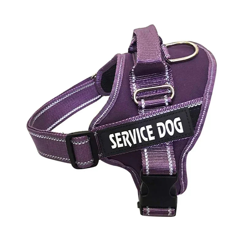 Personalized Reflective No-Pull Harness          Ask ChatGPT