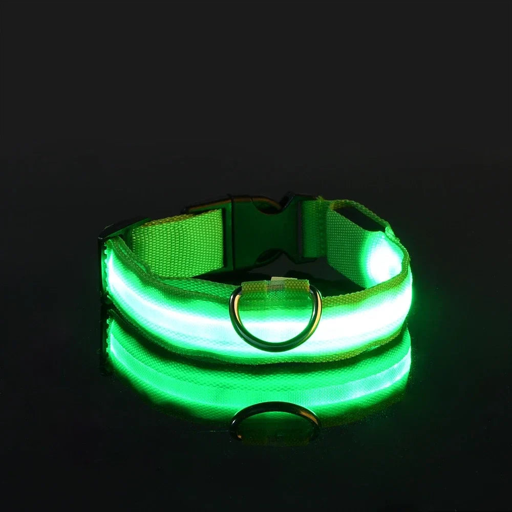 LED Glow Nylon Dog Leash