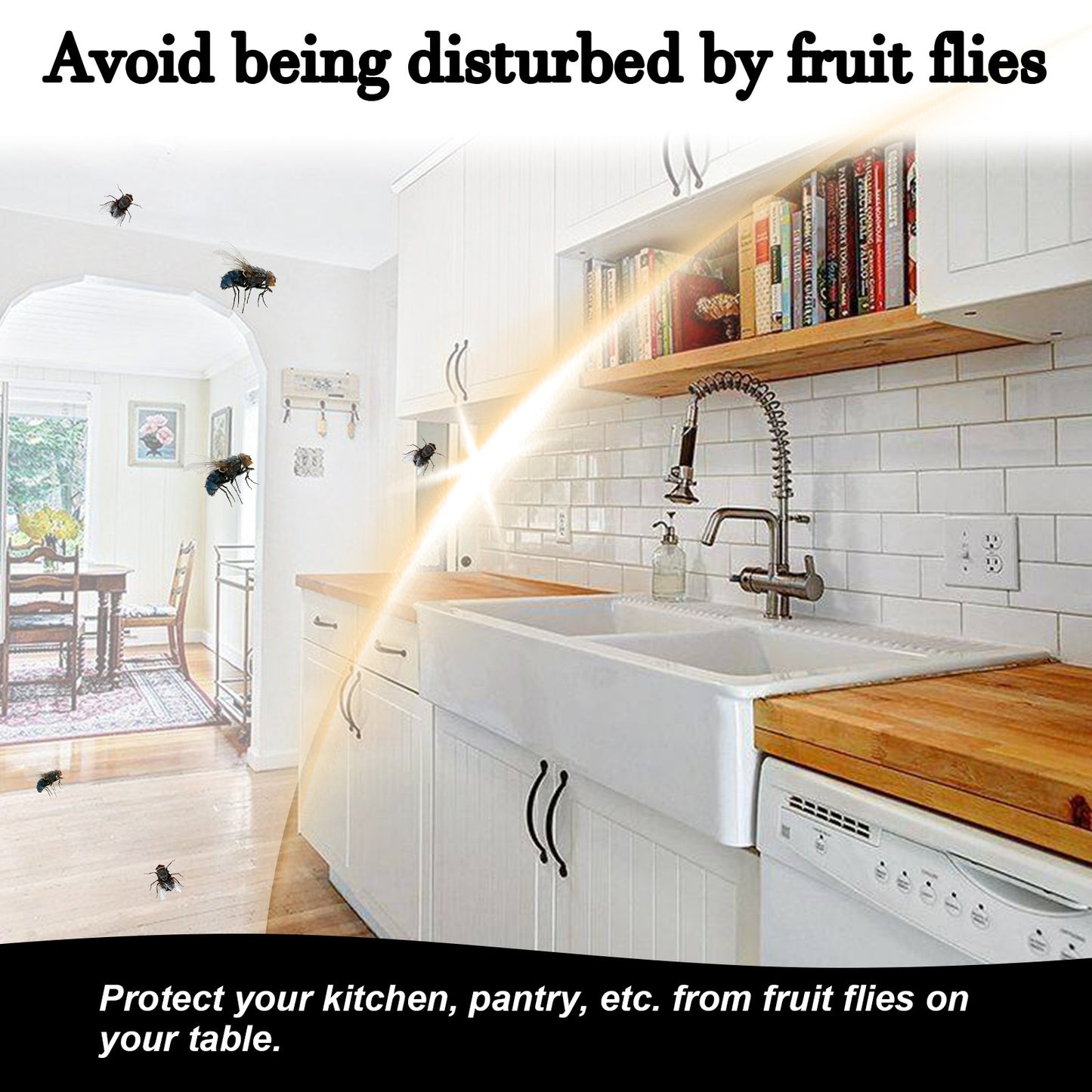 Fruit fly trap bait, Fly trap solution for kitchen, Mosquito and fly bait supplement